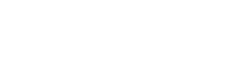 SENSE SWANY